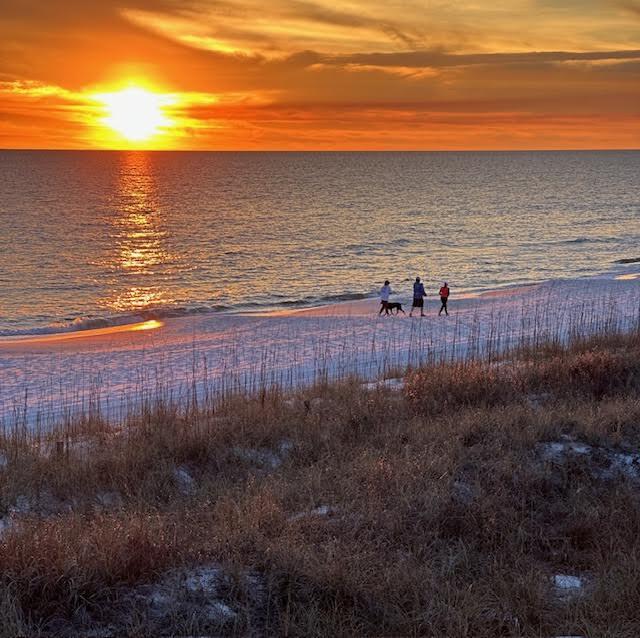 307 Sandchase Cir Inlet Beach Inlet Beach, FL 32461 - Photo 63 of 64 a view of an ocean and beach