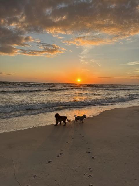 307 Sandchase Cir Inlet Beach Inlet Beach, FL 32461 - Photo 64 of 64 a view of an ocean and beach