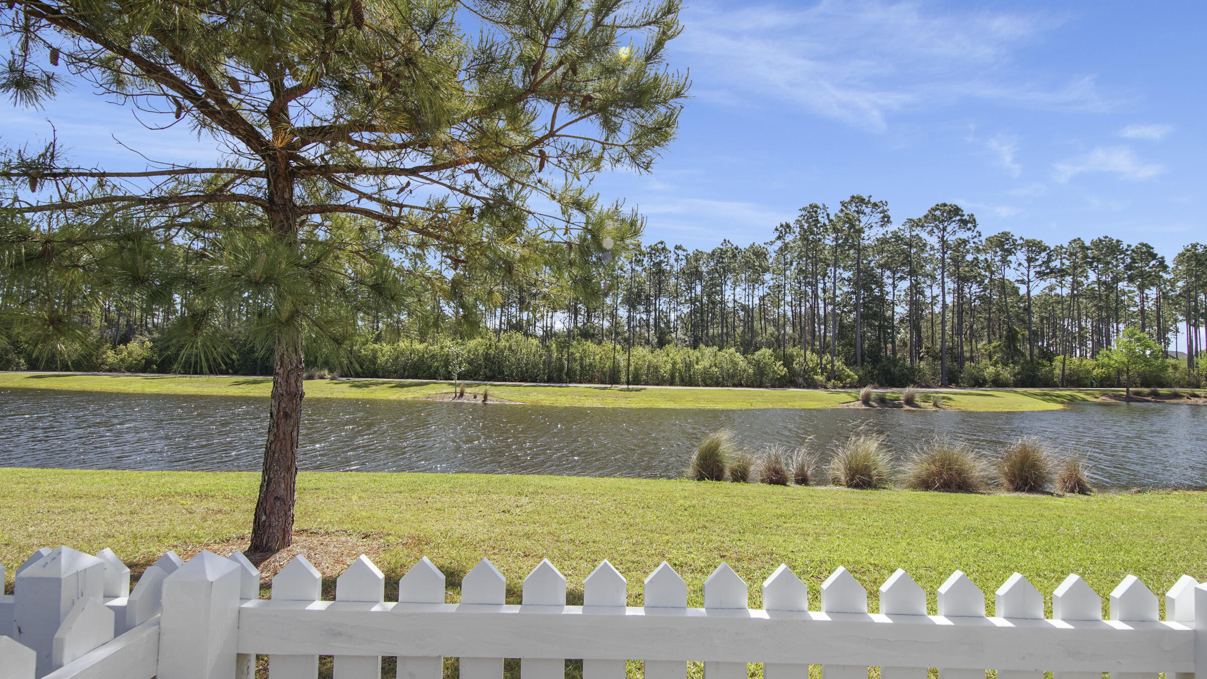 307 Sandchase Cir Inlet Beach Inlet Beach, FL 32461 - Photo 9 of 64 a view of a yard with large trees