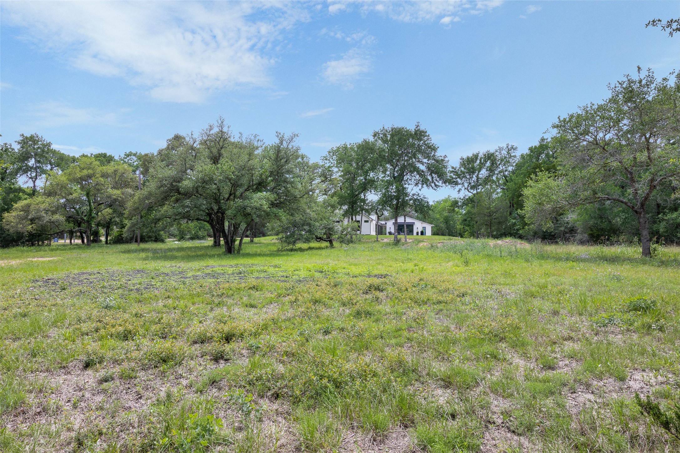 770 South Weyand Road Round Top, TX 78954 - Photo 44 of 50 a view of outdoor space with green field and trees
