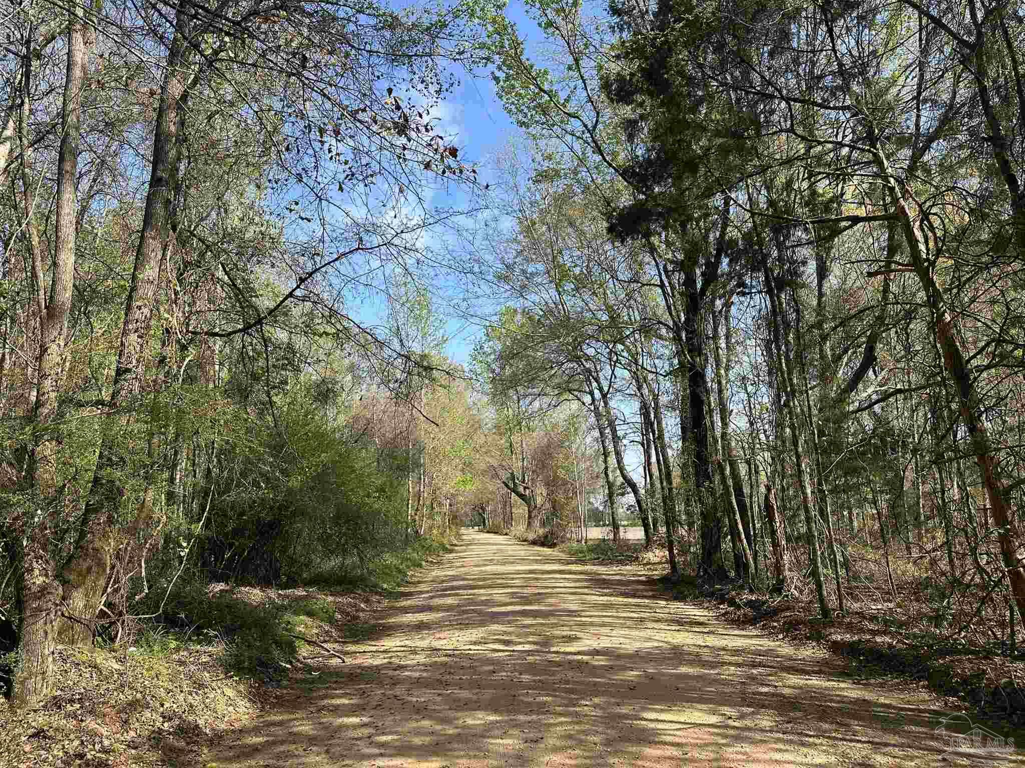 83-ac Lett Road Frisco City, AL 36445 - Photo 5 of 10
