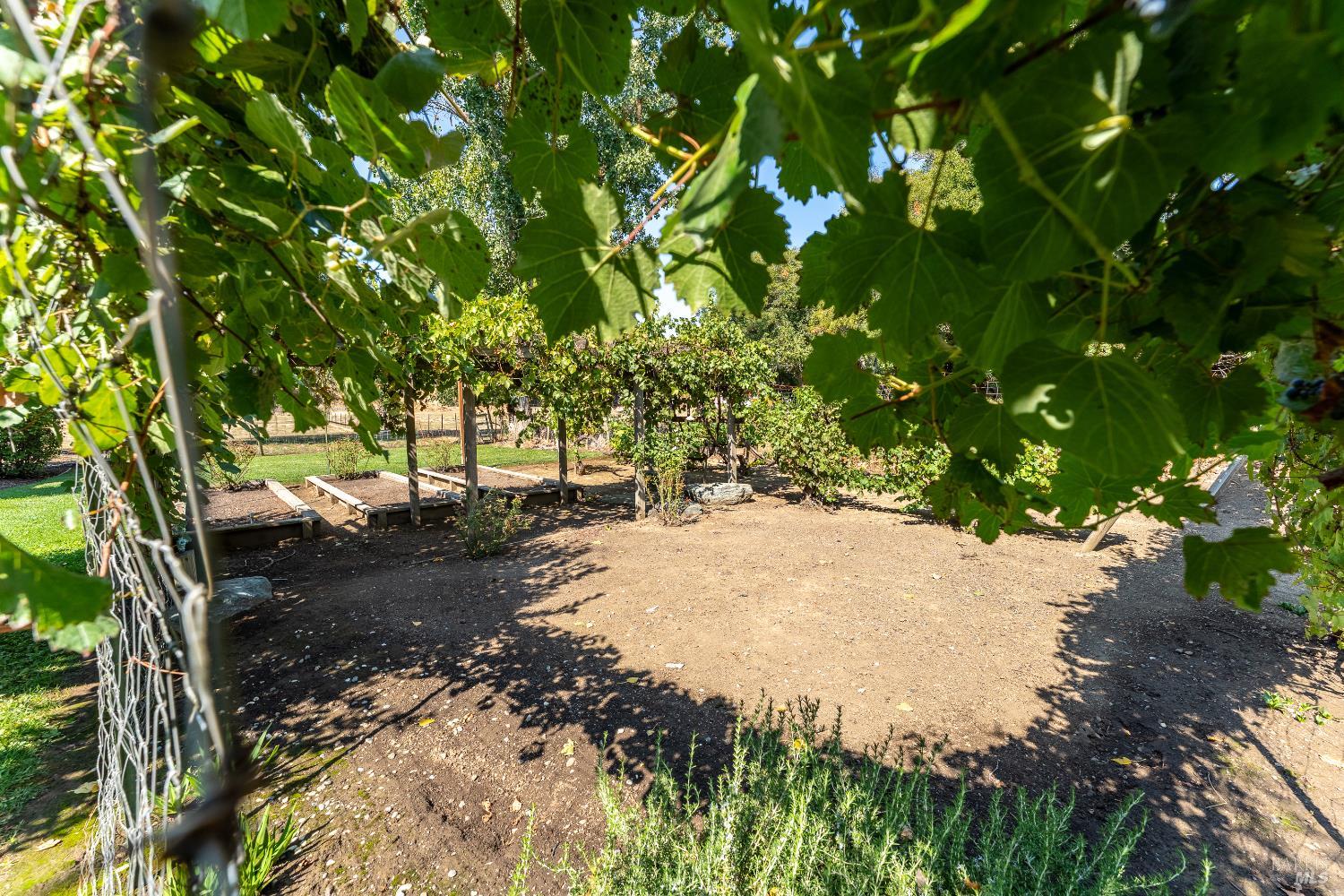 8301 West Potter Valley Road Potter Valley, CA 95469 - Photo 43 of 88 a view of a yard with plants and trees
