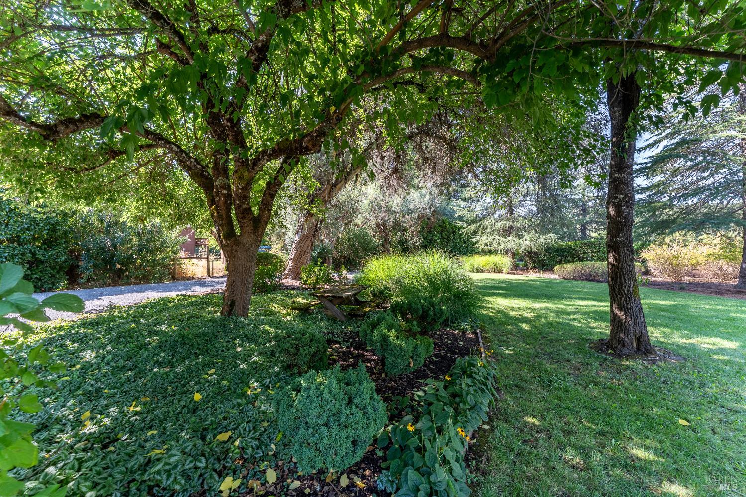 8301 West Potter Valley Road Potter Valley, CA 95469 - Photo 47 of 88 a view of backyard with green space
