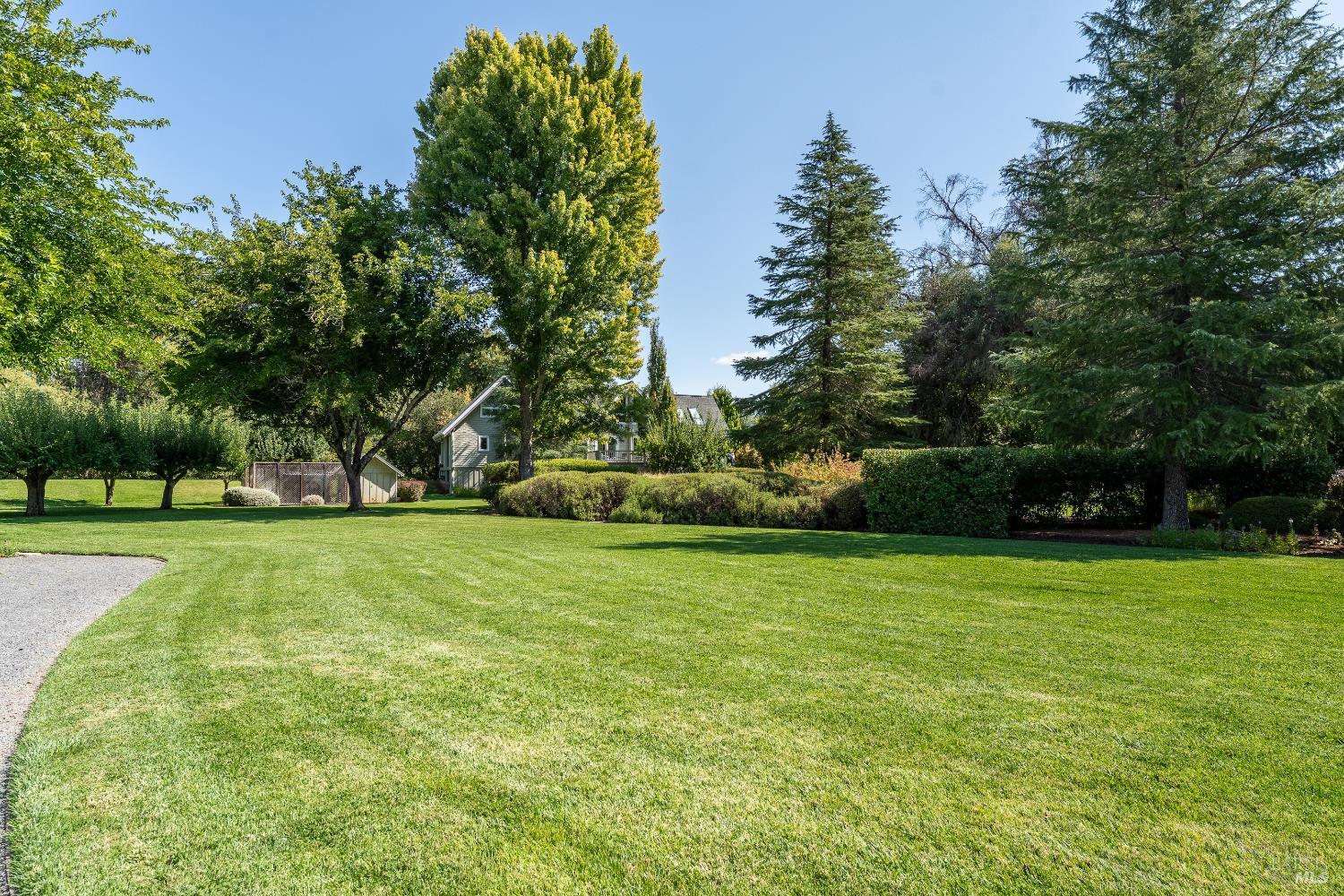 8301 West Potter Valley Road Potter Valley, CA 95469 - Photo 71 of 88