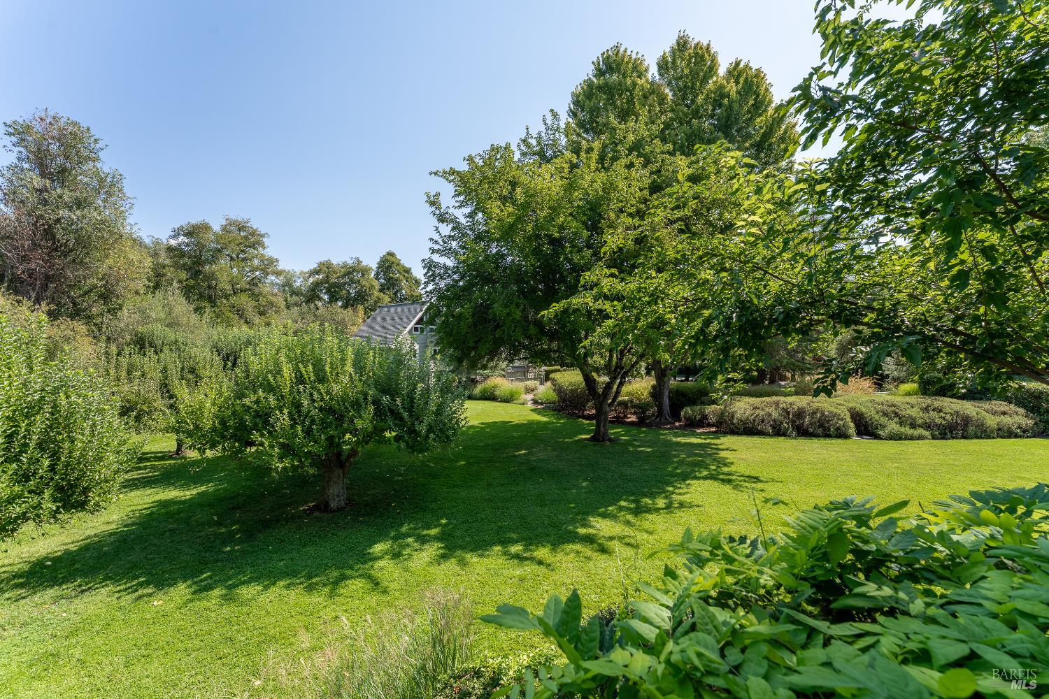 8301 West Potter Valley Road Potter Valley, CA 95469 - Photo 80 of 88