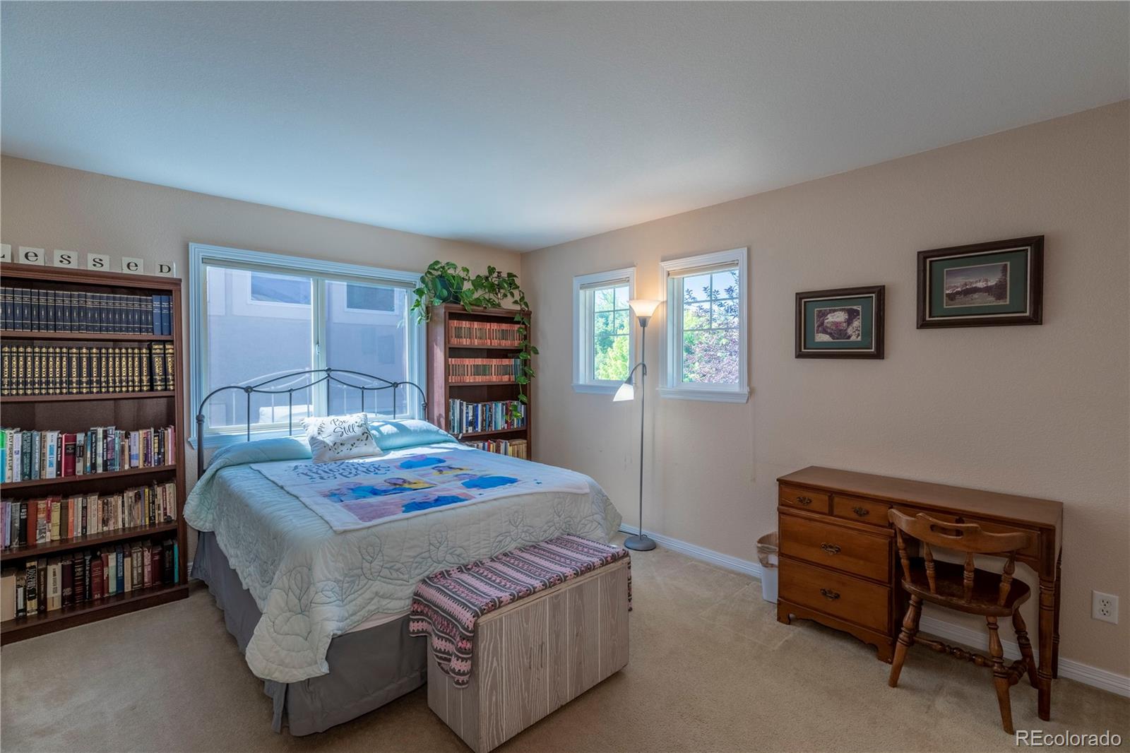 594 Ridgemont Circle Highlands Ranch, CO 80126 - Photo 23 of 40 Gallery Image 23