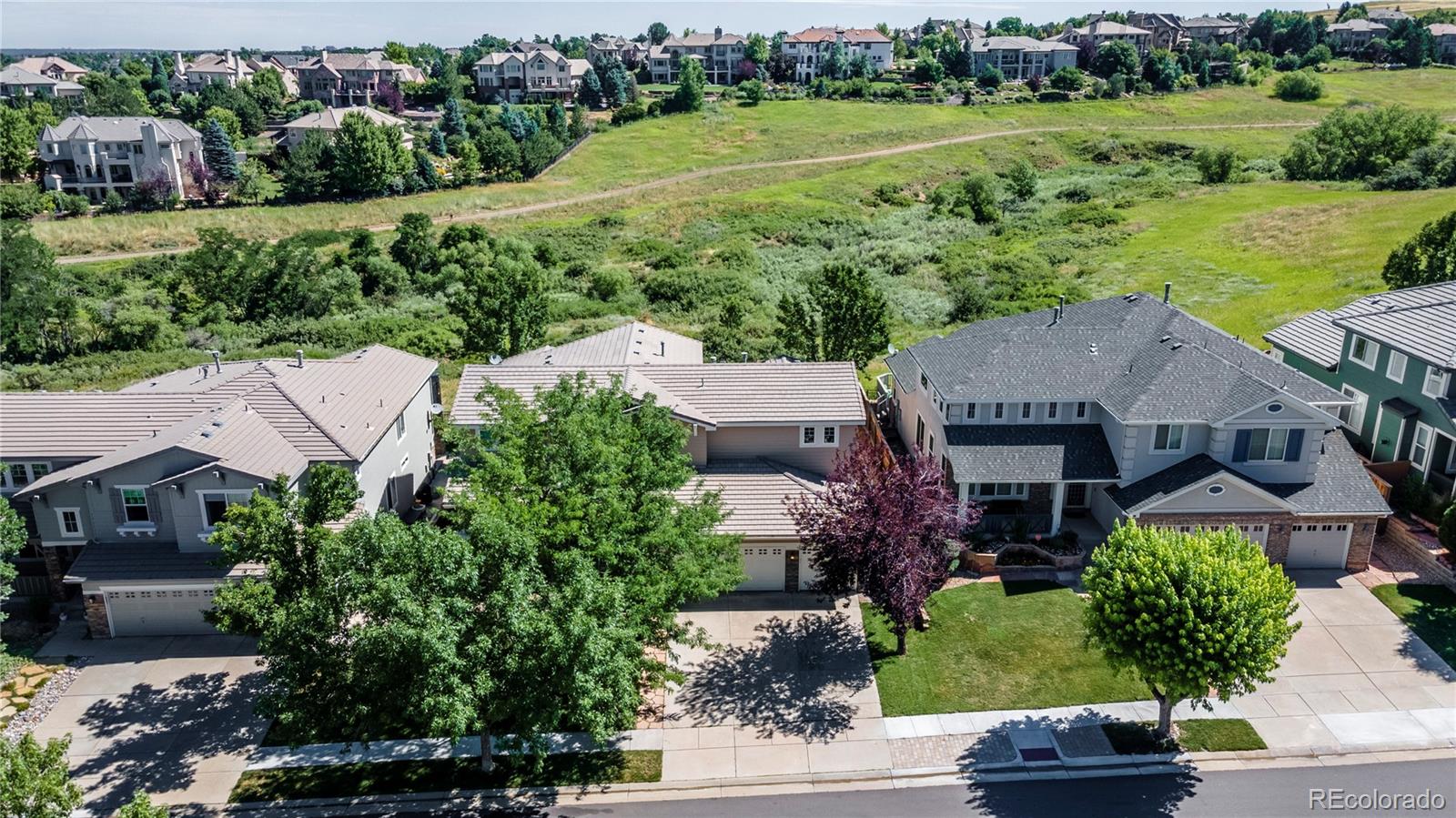 594 Ridgemont Circle Highlands Ranch, CO 80126 - Photo 37 of 40 Gallery Image 37
