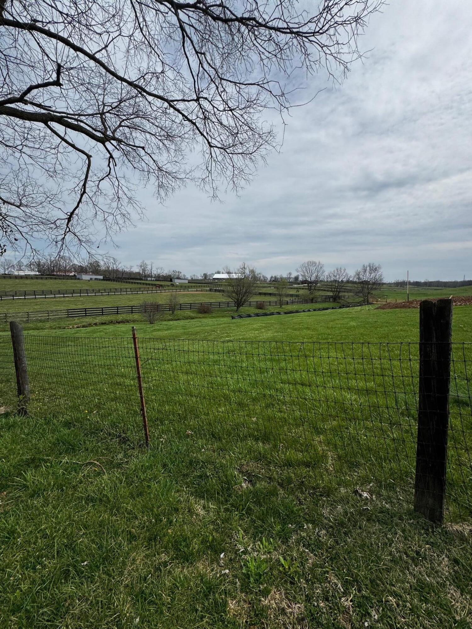440 Paynes Depot Road Lexington, KY 40511 - Photo 3 of 13 IMG_4896