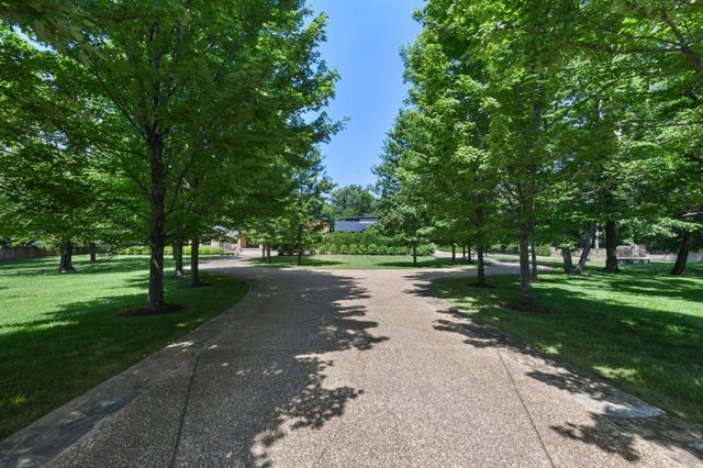 a wooden bench with lake view