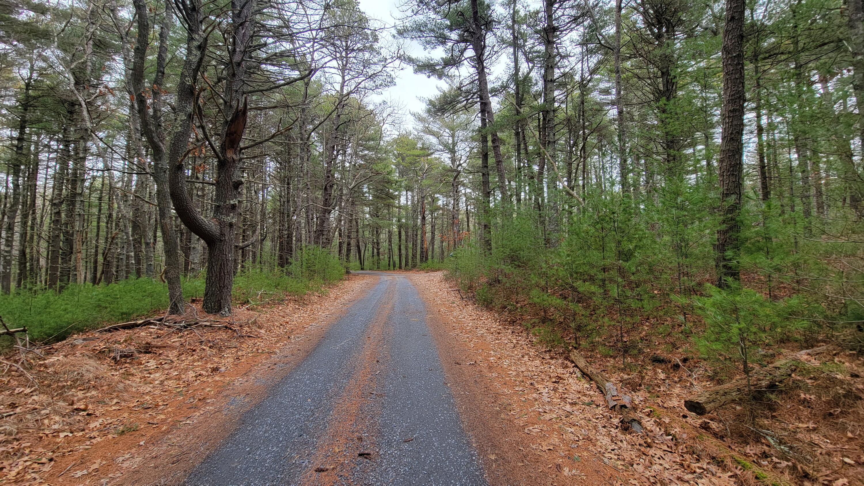 49 Greengate Lane Wareham, MA 02571 - Photo 8 of 20 49 Green Gate Ln, Wareham, MA 02571_ETS