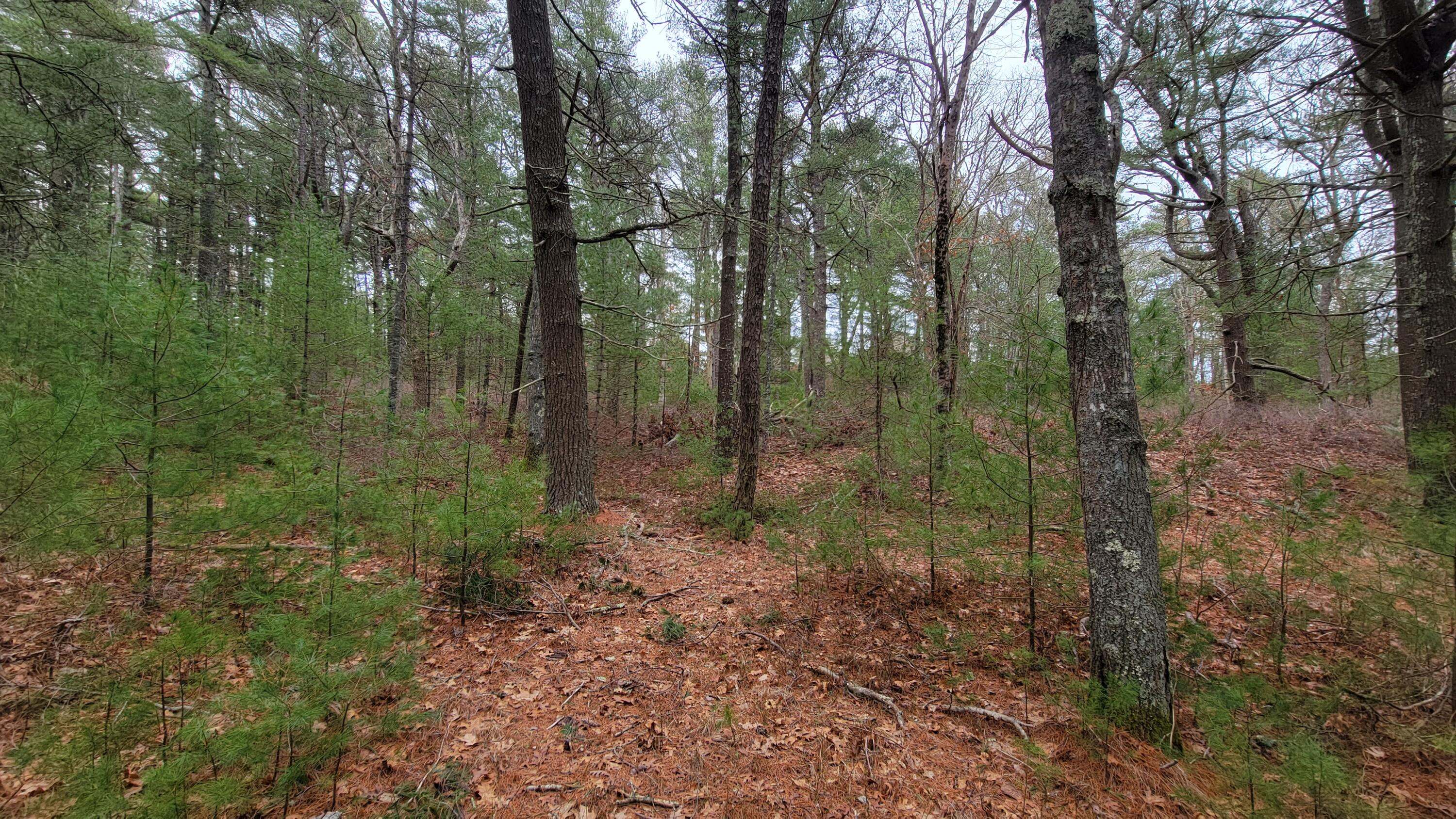 49 Greengate Lane Wareham, MA 02571 - Photo 9 of 20 49 Green Gate Ln, Wareham, MA 02571_ETS