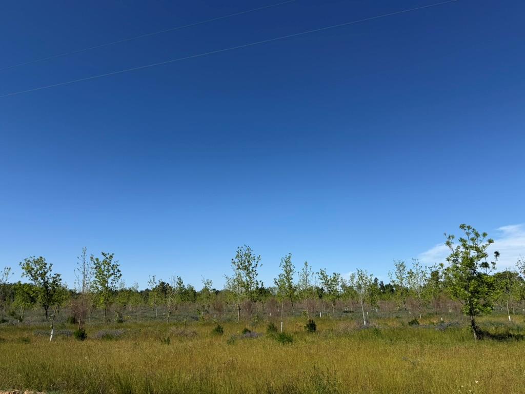 2 A Ganas Road Naylor, GA 31641 - Photo 7 of 13 Gallery Image 7