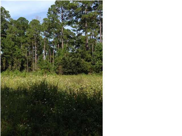 Lot 1 East Hewett Road Santa Rosa Beach, FL 32459 - Photo 1 of 3 Gallery Image 1