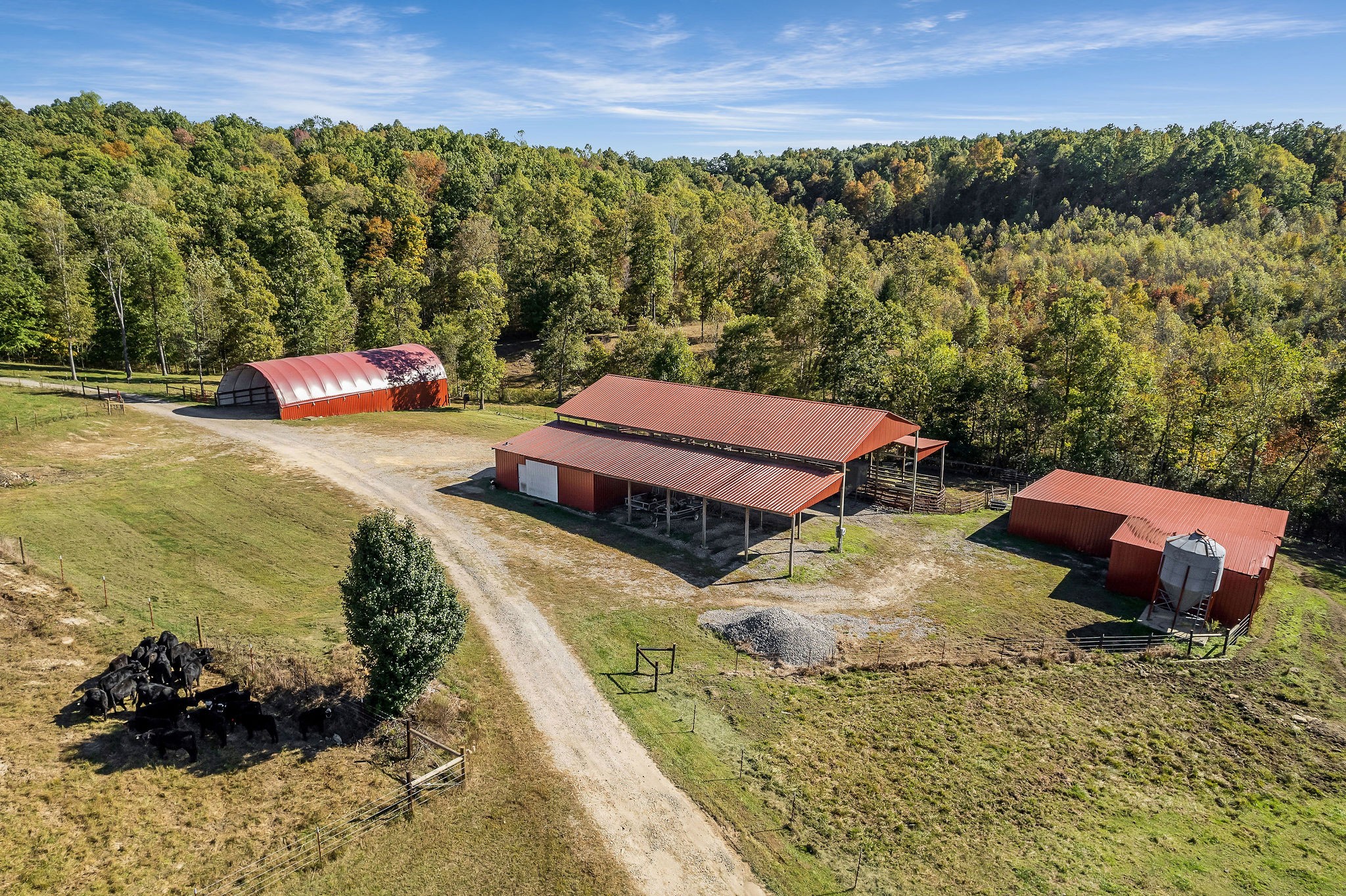 1487 Dripping Springs Road Monterey, TN 38574 - Photo 3 of 72 Gallery Image 3