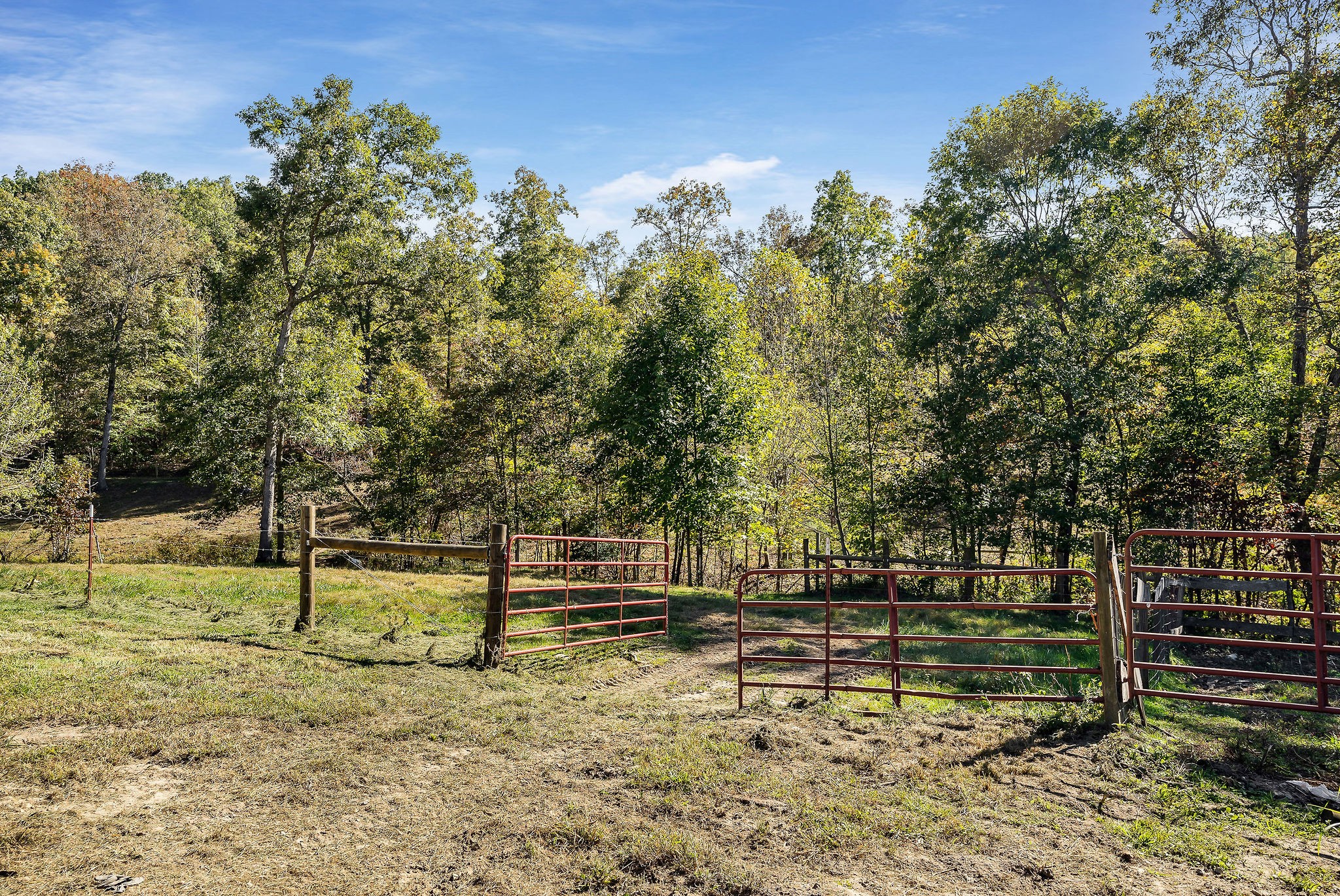 1487 Dripping Springs Road Monterey, TN 38574 - Photo 54 of 72 Gallery Image 54