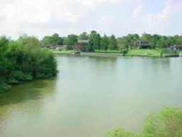 $975 | 18617 Egret Bay Boulevard, Unit 303, Webster, TX 77058