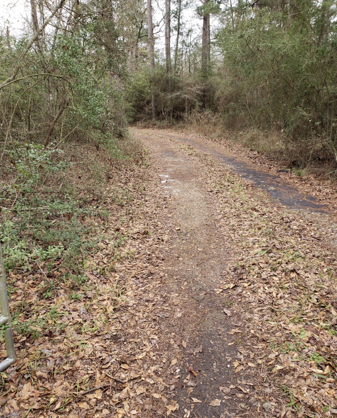 20392 Meadow Lake Road Cleveland, TX 77328 - Photo 3 of 4