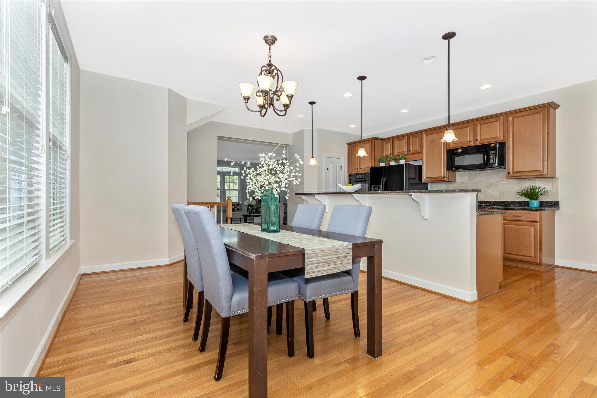 9733 Braidwood Terrace Frederick, MD 21704 - Photo 12 of 50 Open Concept