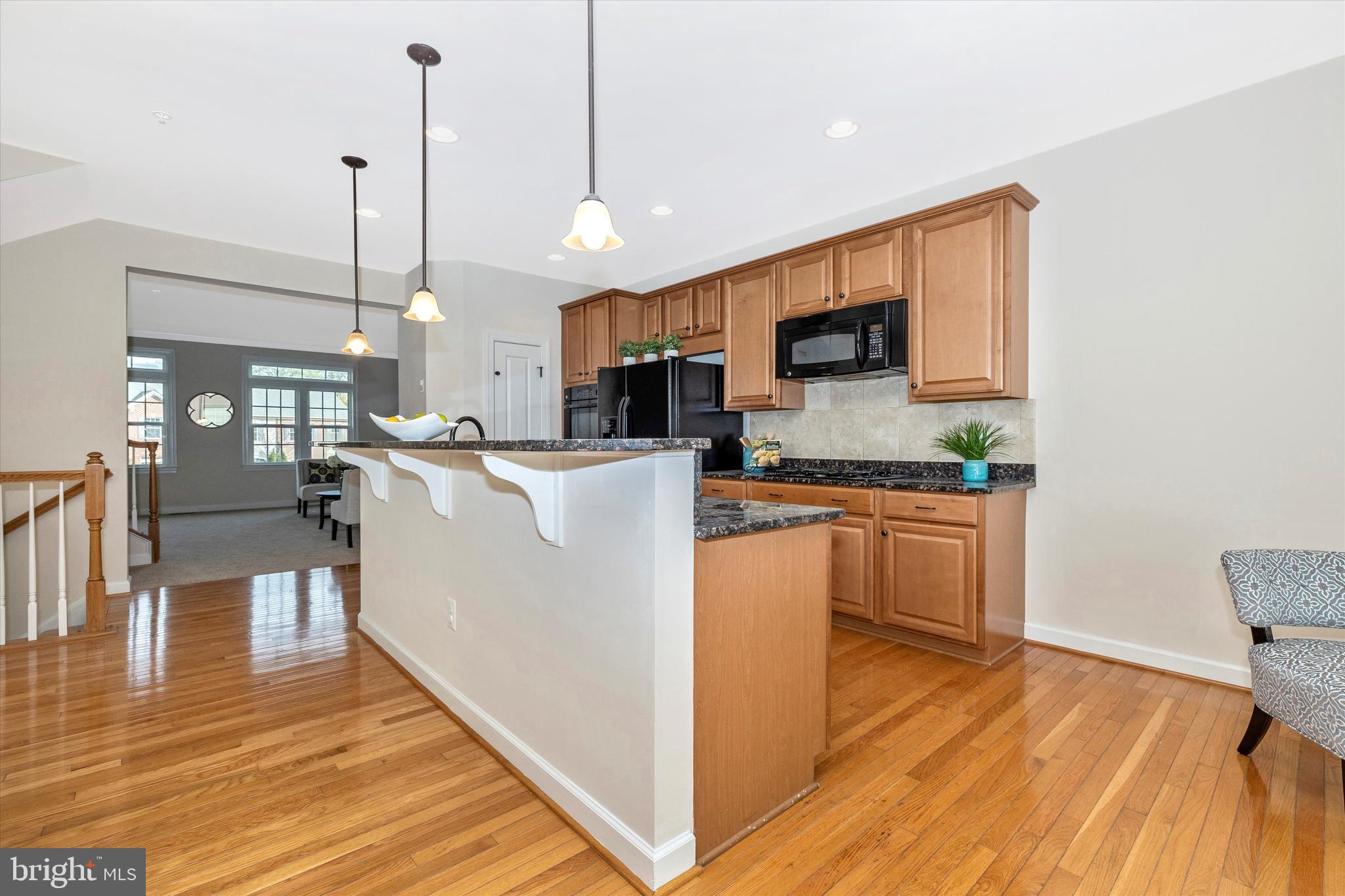 9733 Braidwood Terrace Frederick, MD 21704 - Photo 17 of 50 Pendant lighting