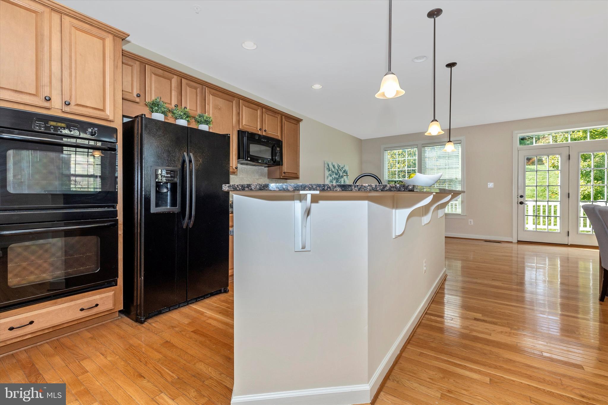 9733 Braidwood Terrace Frederick, MD 21704 - Photo 21 of 50 Fridge w/water & ice dispensers