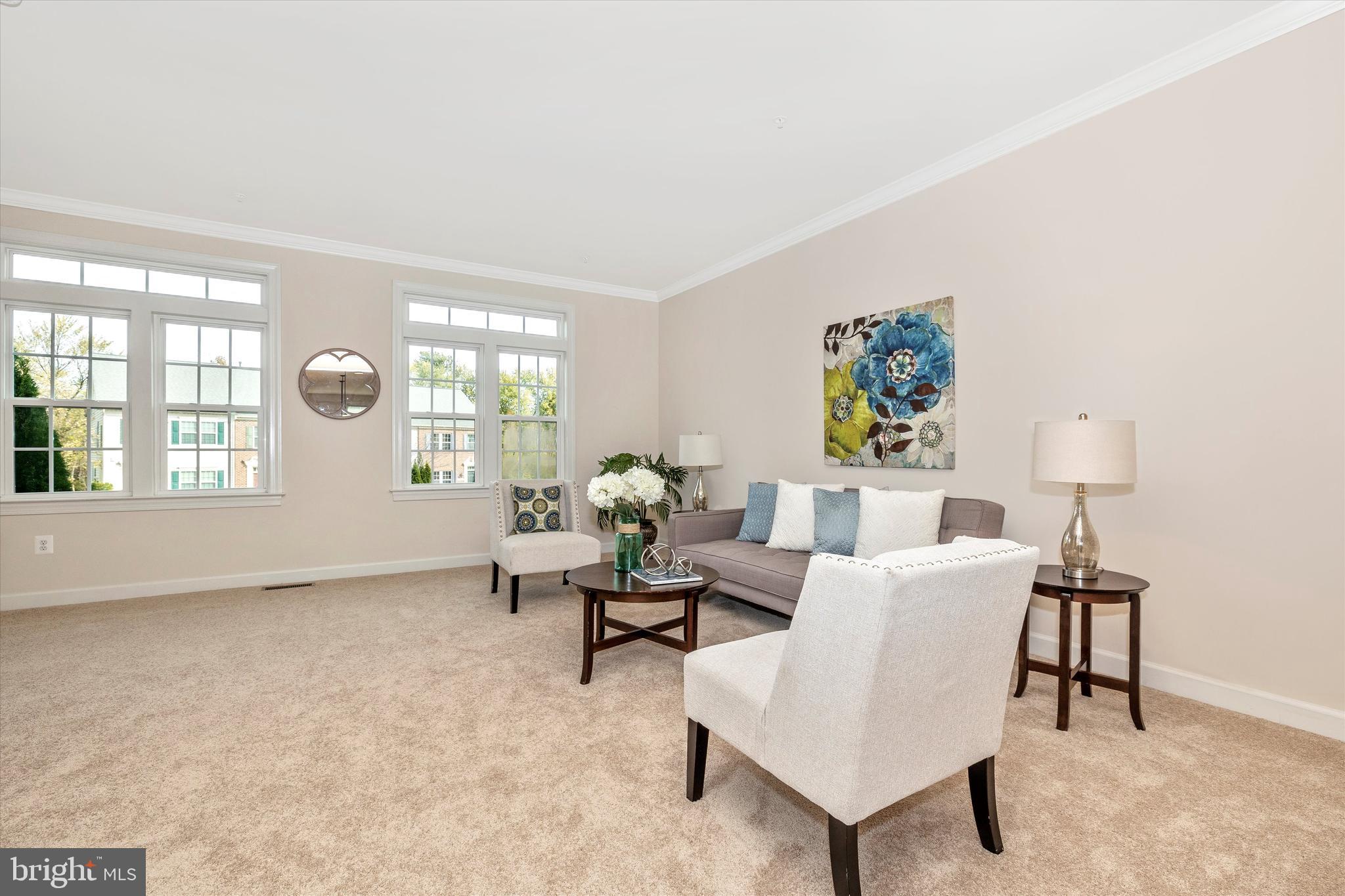 9733 Braidwood Terrace Frederick, MD 21704 - Photo 22 of 50 Living room with new carpet