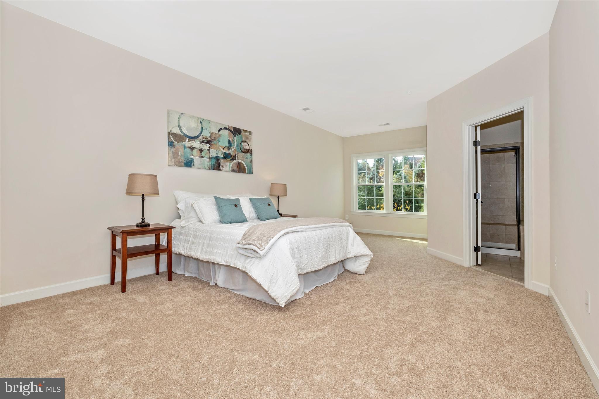 9733 Braidwood Terrace Frederick, MD 21704 - Photo 27 of 50 Owner's Suite w/sitting area