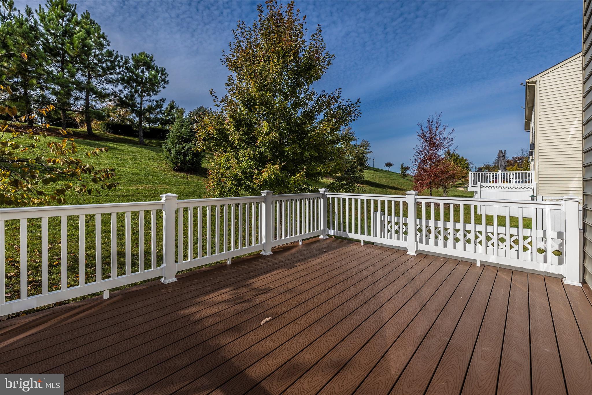 9733 Braidwood Terrace Frederick, MD 21704 - Photo 49 of 50