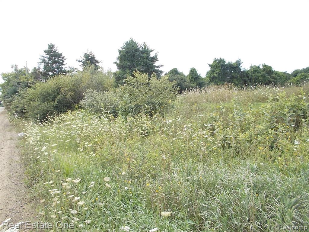 0 North Lake George Road Oakland, MI 48363 - Photo 9 of 55