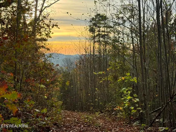 $230,000 | 3 Point - Tract 3 Road, Unit 4 03, Vonore, TN 37885
