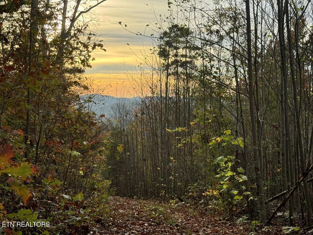 3 Point - Tract 3 Road, Unit 4 03 Vonore, TN 37885 - Photo 1 of 7 5436704C-6B42-4CAA-B610-EF3FC1E79B69_1_1