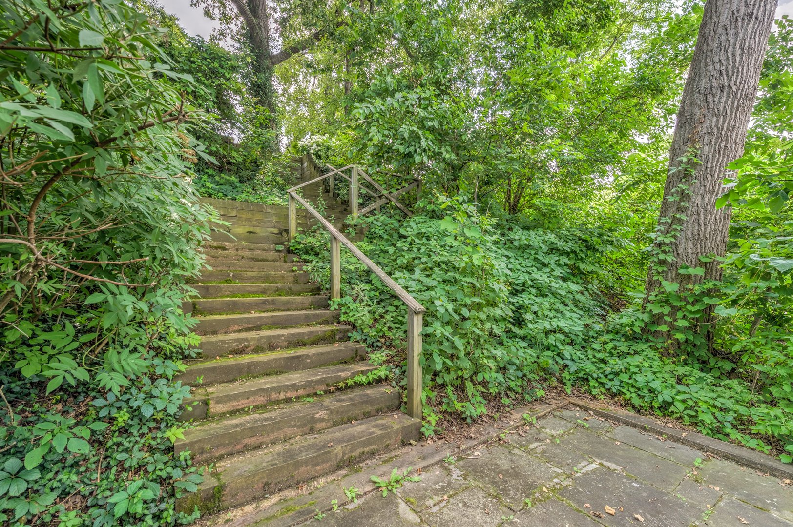 141 Sheridan Road Winnetka, IL 60093 - Photo 56 of 58 a view of yard with deck and green space