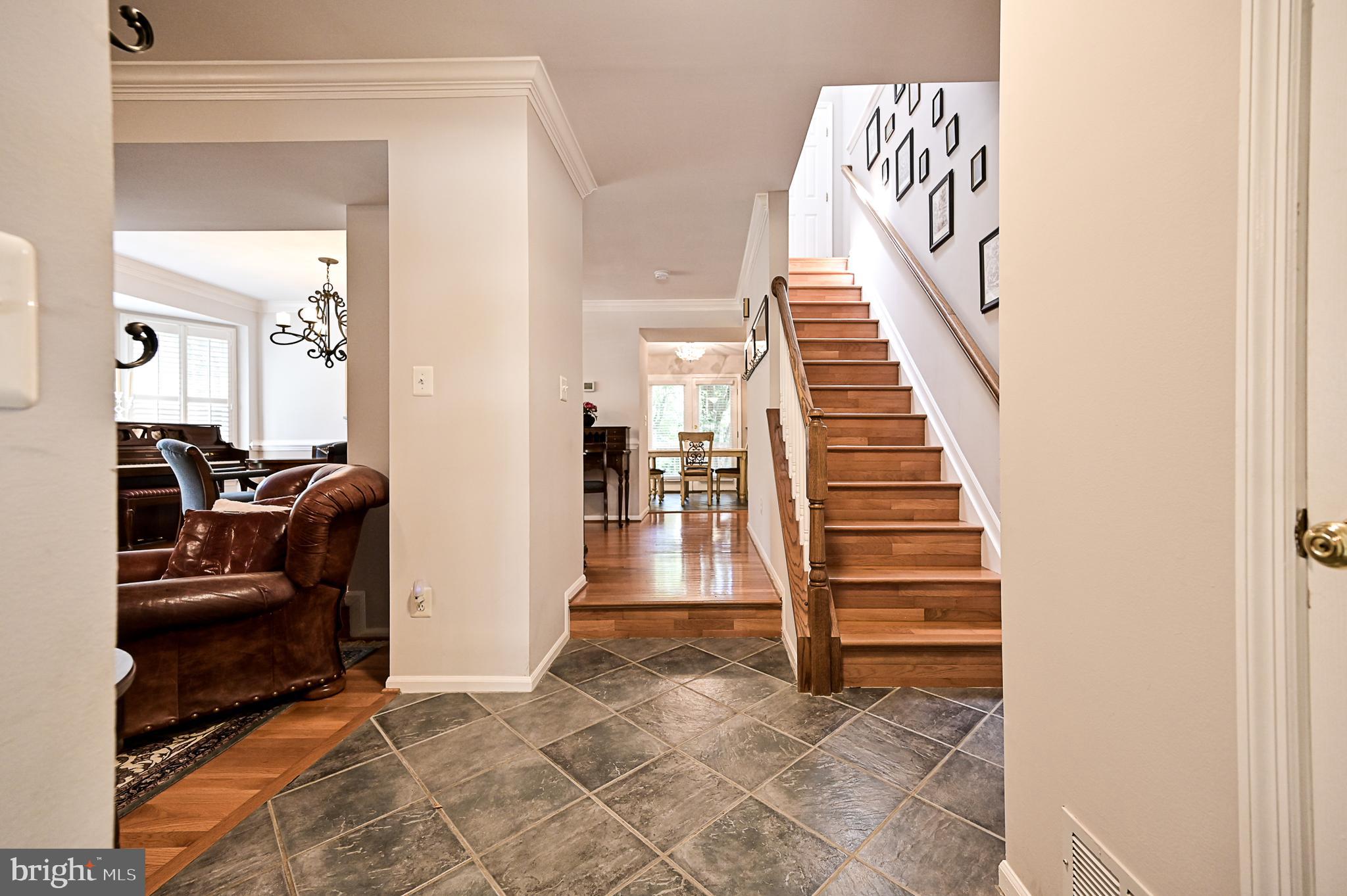 6489 Milva Lane Springfield, VA 22150 - Photo 3 of 42 Gallery Image 3