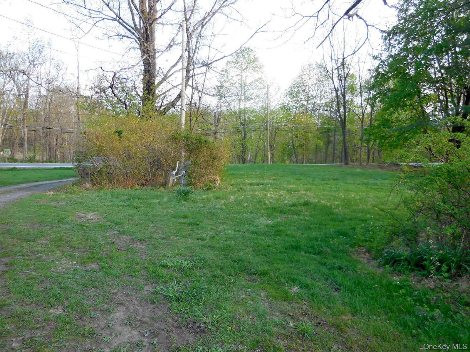 617 Burlingham Road Bloomingburg, NY 12721 - Photo 36 of 39 Front yard to right side of driveway looking towards the road.