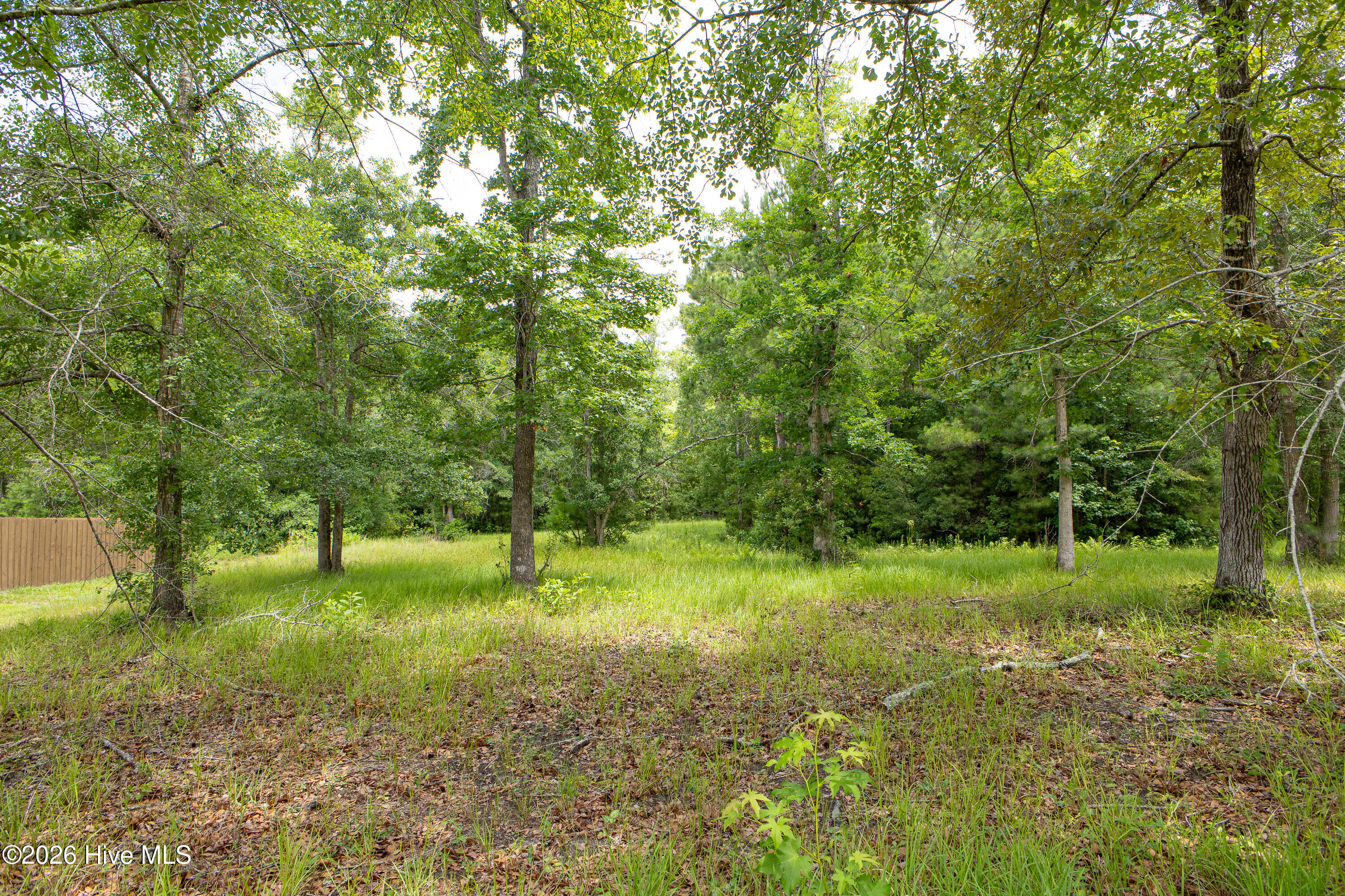 529 North Wild Rice Drive Southwest Supply, NC 28462 - Photo 3 of 11