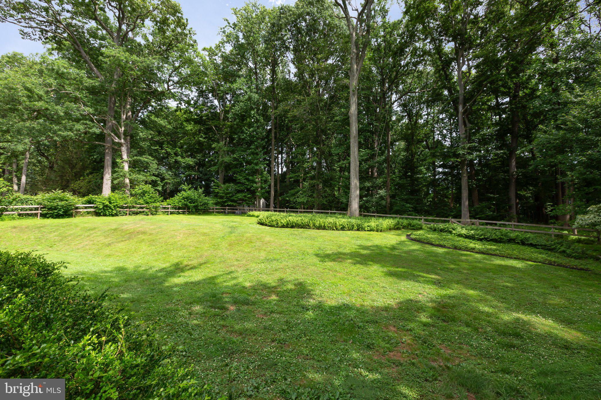 209 Marple Road Haverford, PA 19041 - Photo 36 of 42 Private, Tree-Lined Backdrop