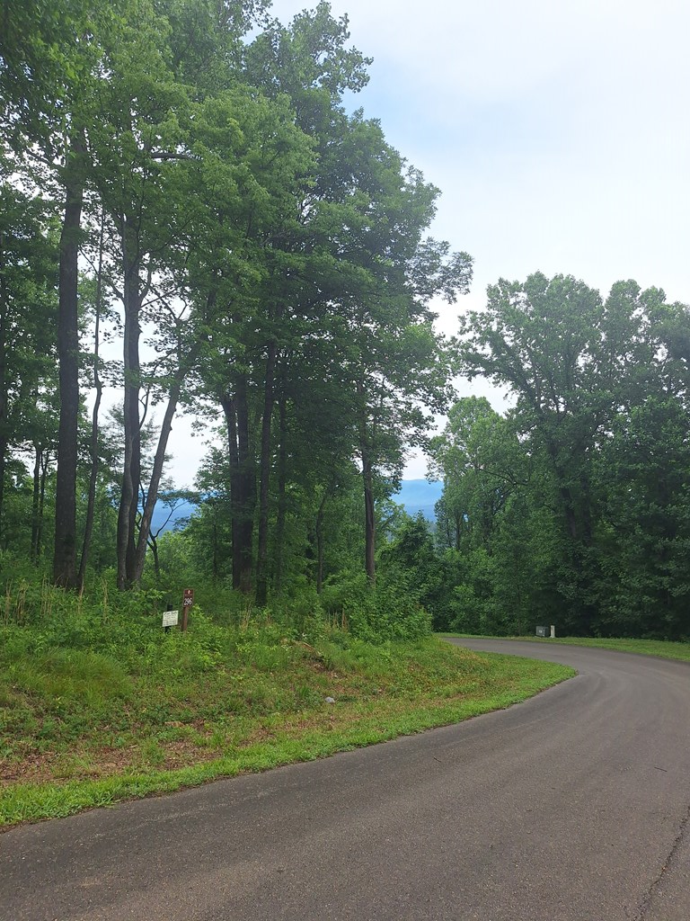 274 Andes Ridge Morganton, GA 30560 - Photo 9 of 24