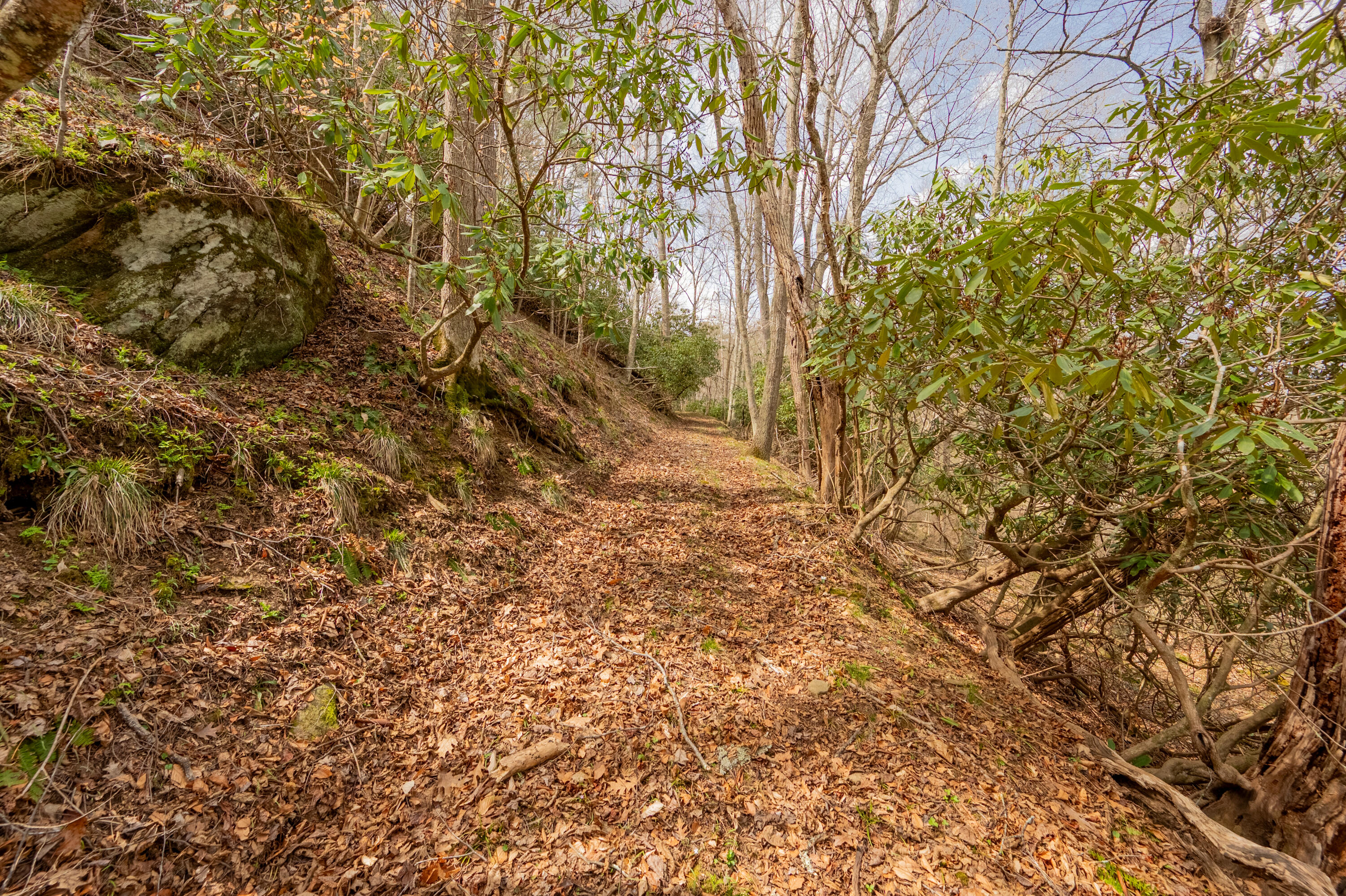 183 Pine Mountain Road Northeast Floyd, VA 24091 - Photo 36 of 54 a view of a yard