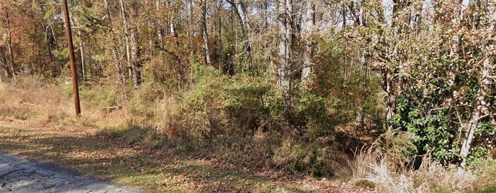 2842 Drowning Creek Road Dacula, GA 30019 - Photo 3 of 3 a view of a yard