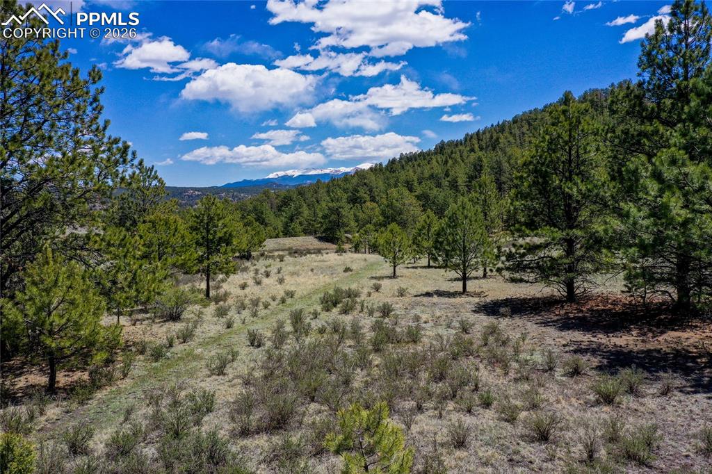 437 Langnis Road Guffey, CO 80820 - Photo 31 of 33 Lace up those hiking boots, its time to walk these acres!