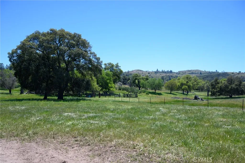 2 Huer Huero Road Creston, CA 93432 - Photo 15 of 21 a big yard with lots of green space and deers