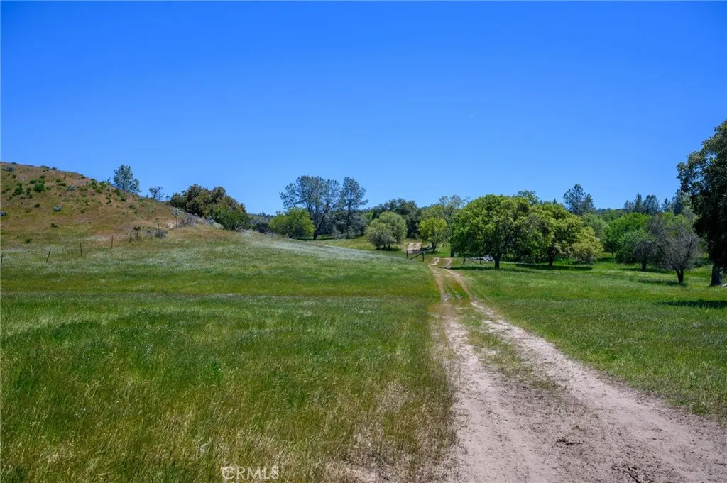 2 Huer Huero Road Creston, CA 93432 - Photo 16 of 21 a view of a grassy field with trees in the background