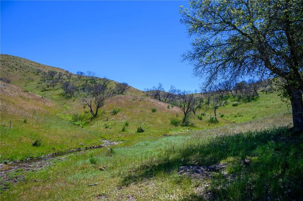2 Huer Huero Road Creston, CA 93432 - Photo 18 of 21 a view of a lush green forest with lots of trees