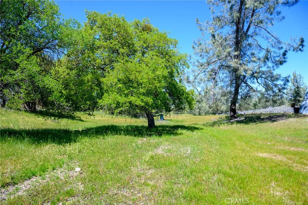 2 Huer Huero Road Creston, CA 93432 - Photo 8 of 21 a view of a garden with a tree