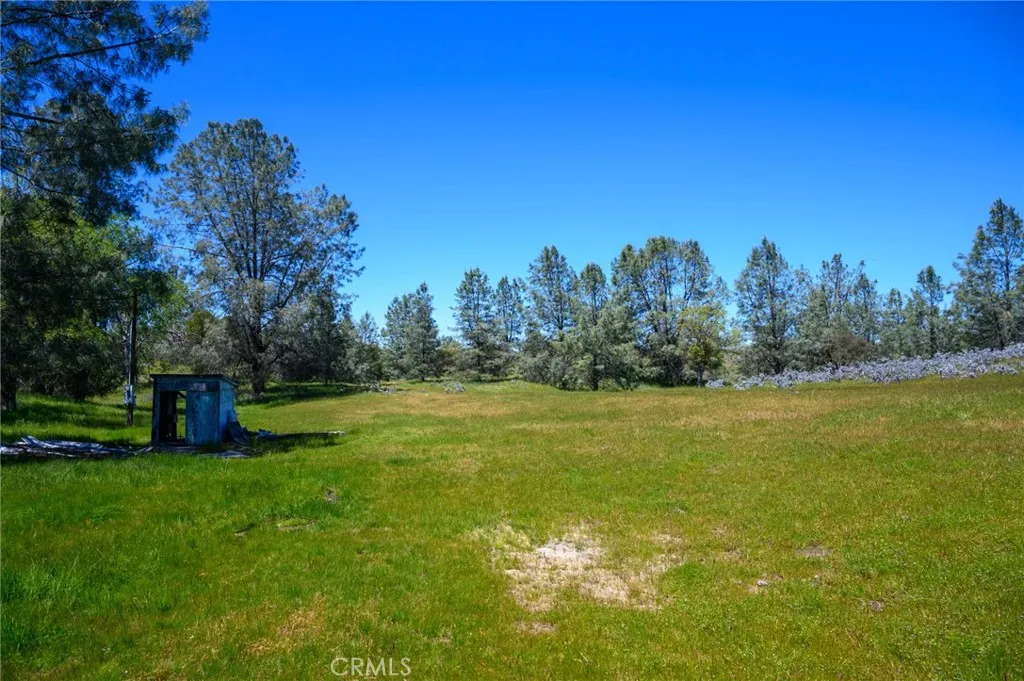 2 Huer Huero Road Creston, CA 93432 - Photo 9 of 21 a view of a field with trees in the background