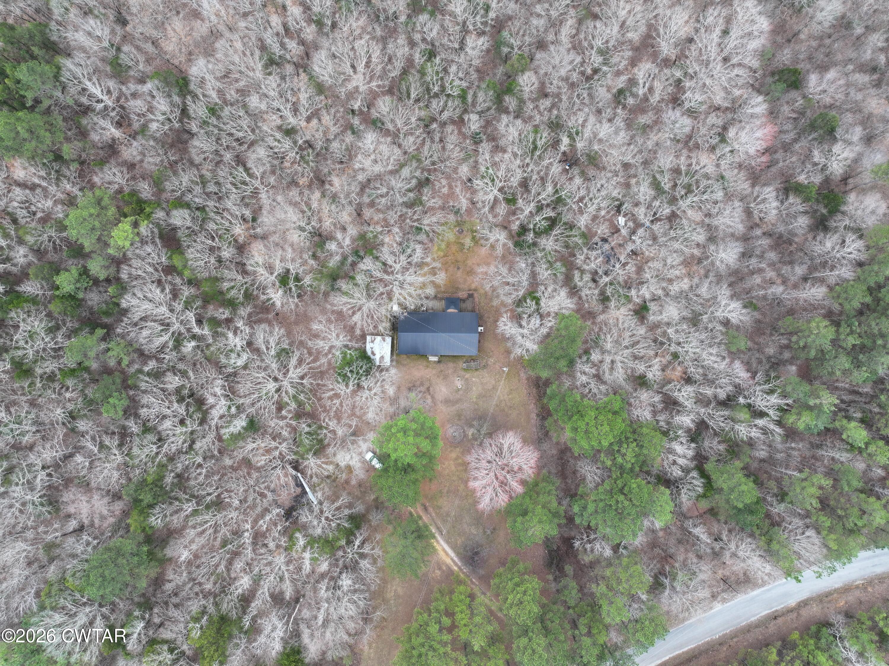 875 New Friendship Road Buena Vista, TN 38318 - Photo 6 of 13 a view of a pathway with a tree