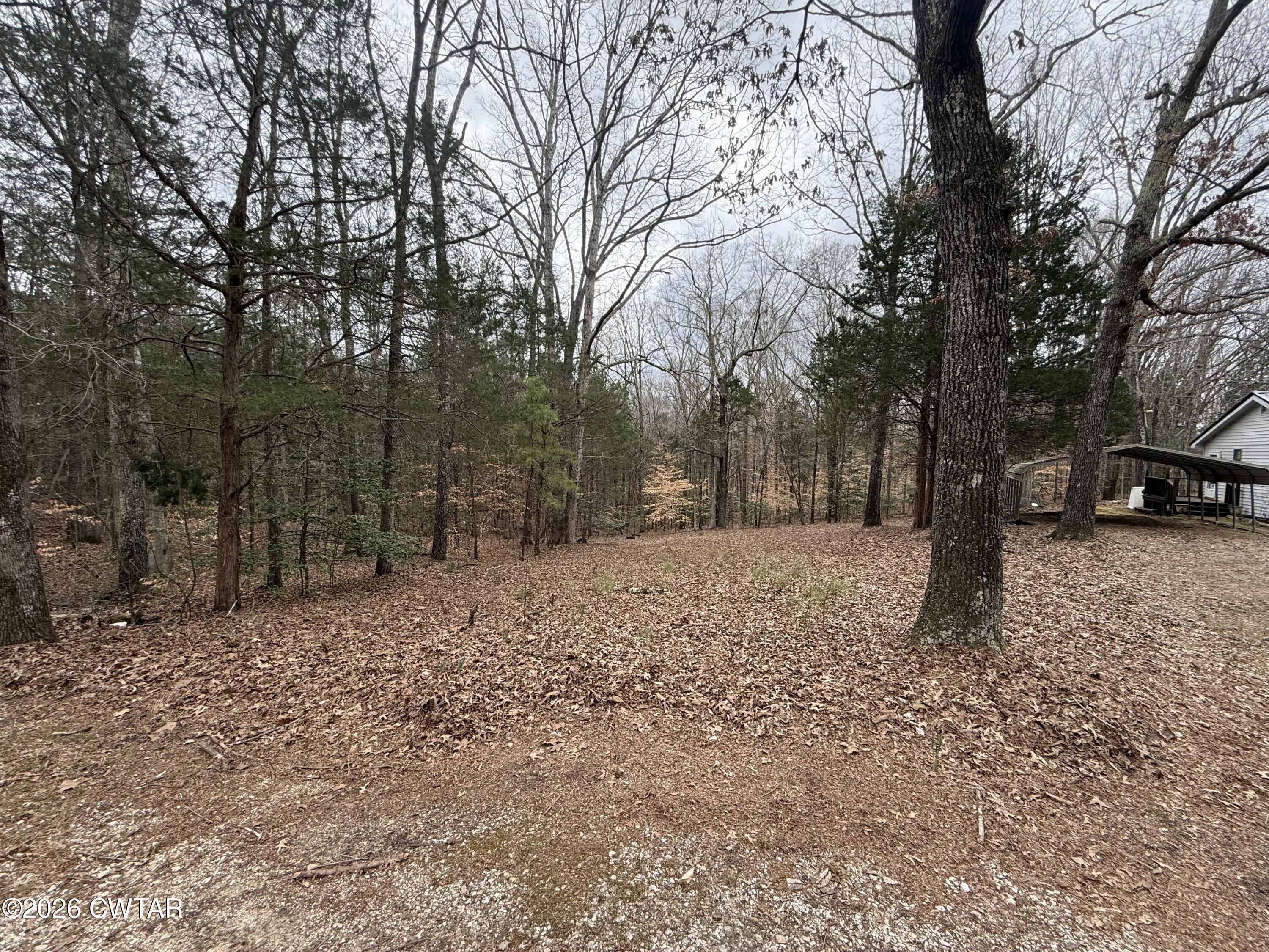 875 New Friendship Road Buena Vista, TN 38318 - Photo 8 of 13 a view of outdoor space with trees
