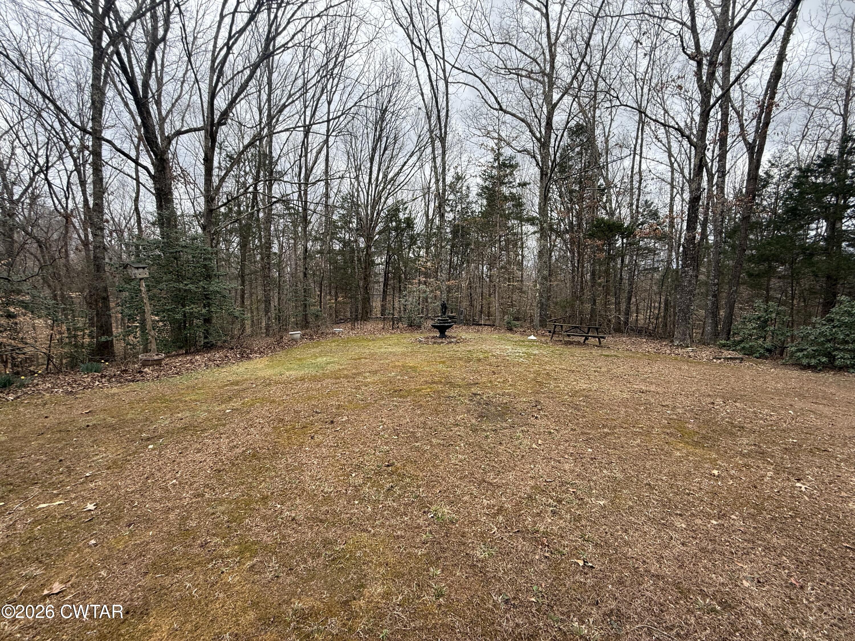 875 New Friendship Road Buena Vista, TN 38318 - Photo 9 of 13 a view of outdoor space with trees