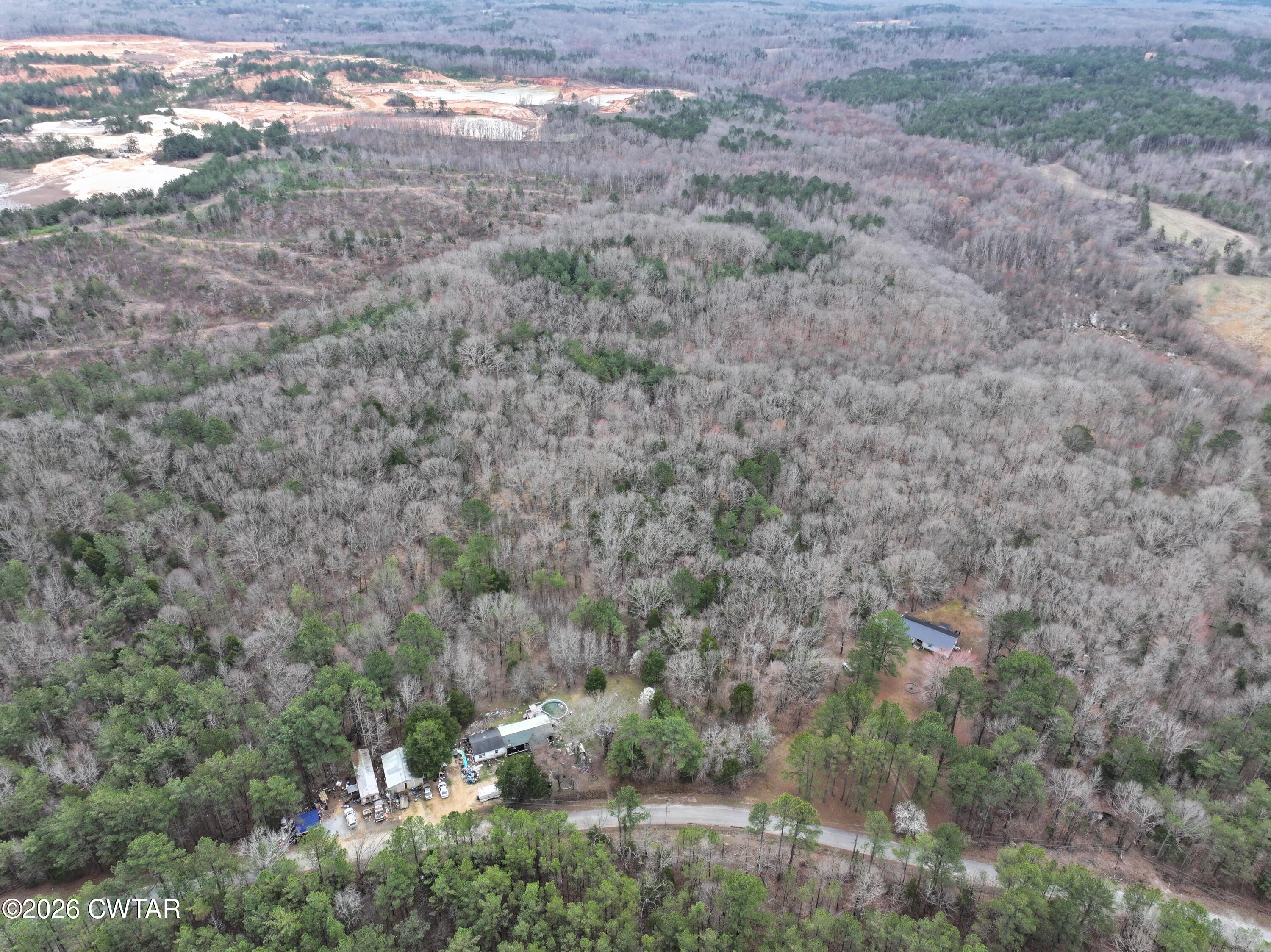 875 New Friendship Road Buena Vista, TN 38318 - Photo 10 of 13 a view of a dry yard with trees all around