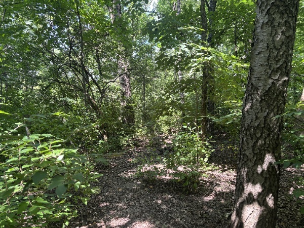 15653 West Baker Road Manhattan, IL 60442 - Photo 19 of 22