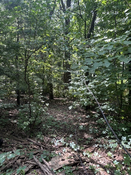 15653 West Baker Road Manhattan, IL 60442 - Photo 20 of 22